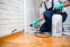 Best Real Estate Pest Inspections  in Mexico Beach, FL